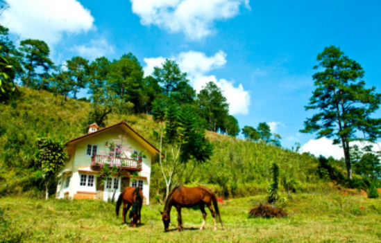 du lich da lat
